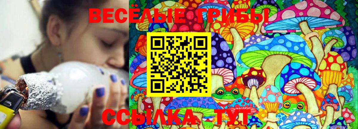 Галлюциногенные грибы мухоморы Кашира