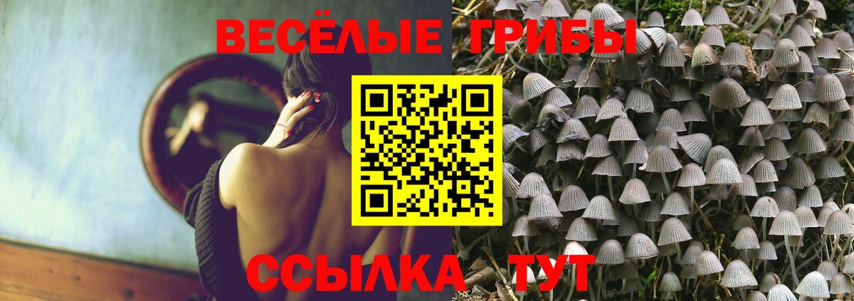 как найти   Вход с VPN  Кашира  Галлюциногенные грибы GOLDEN TEACHER 