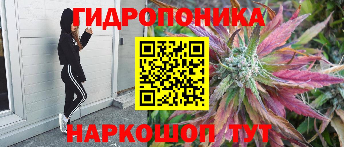 Бошки марихуана OG Kush Кашира